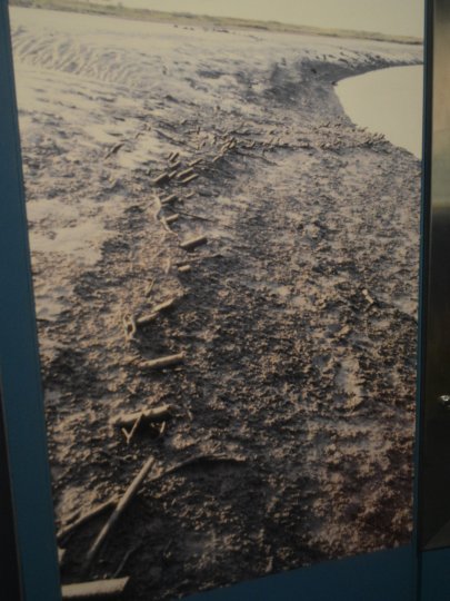 Prehistorictrackway and quayside Ennis, Co. Clare, West of Ireland