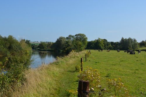 River Nore walk from Bennettsbridge to Killkenny, Co. Kilkenny, Ireland