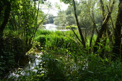 River Nore walk from Bennettsbridge to Killkenny, Co. Kilkenny, Ireland