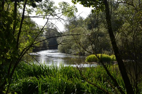 River Nore walk from Bennettsbridge to Killkenny, Co. Kilkenny, Ireland