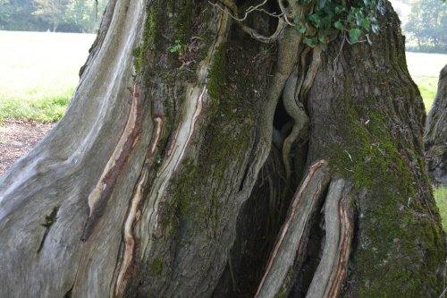 River Nore walk from Bennettsbridge to Killkenny, Co. Kilkenny, Ireland