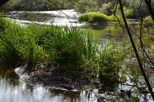 River Nore walk from Bennettsbridge to Killkenny, Co. Kilkenny, Ireland