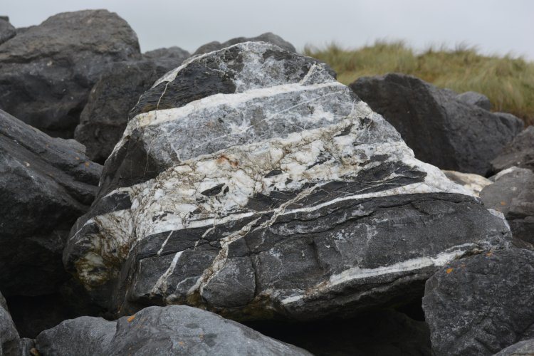 An interesting rock. part of the massive piles of rock of the sea defences above Tramore Beach Strand, Co. Waterford, Ireland