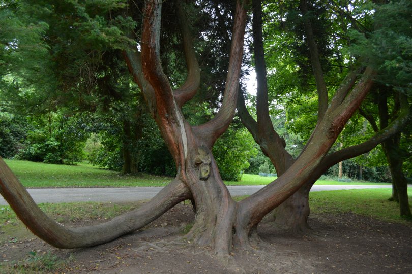 The John F. Kennedy Arboretum JFK Park