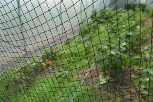 Grow HQ Cafe Garden, Co. Waterford, Ireland