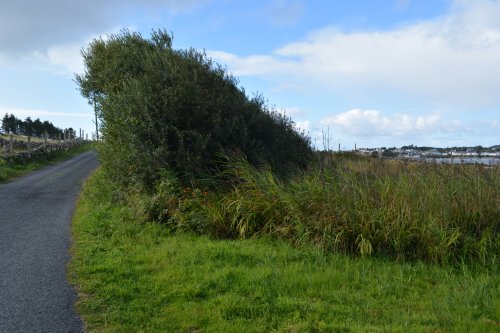 Inish Nii Inish Nee Inishnee Loop Walk, Connemara, Co. Galway, Ireland