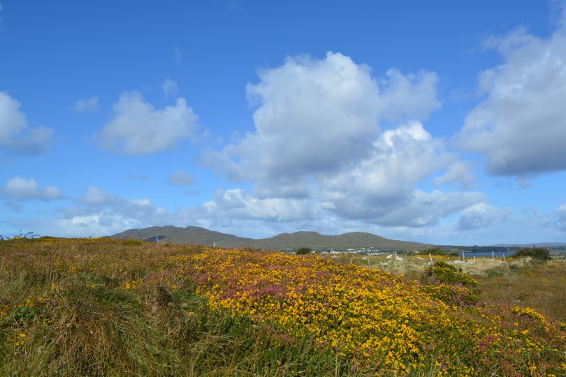 Inish Nii Inish Nee Inishnee Loop Walk, Connemara, Co. Galway, Ireland