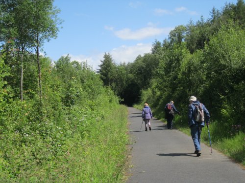 Killykeen Forest Park, Co. Cavan, Ireland