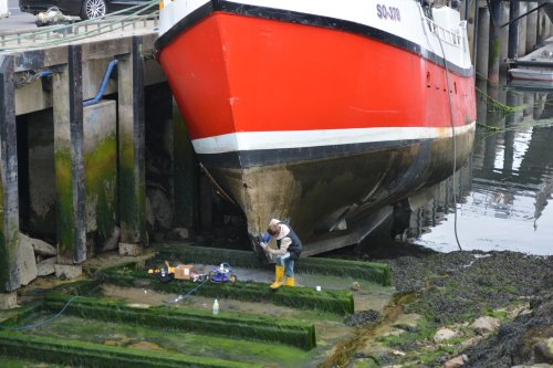 Dunmore East harbour summer 2025