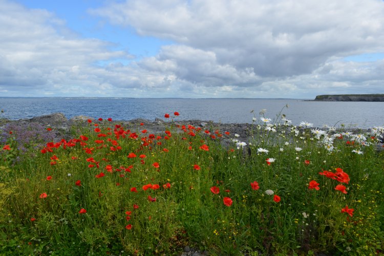 The Flaggy Shore, The Burren, Co. Clare, West of Ireland