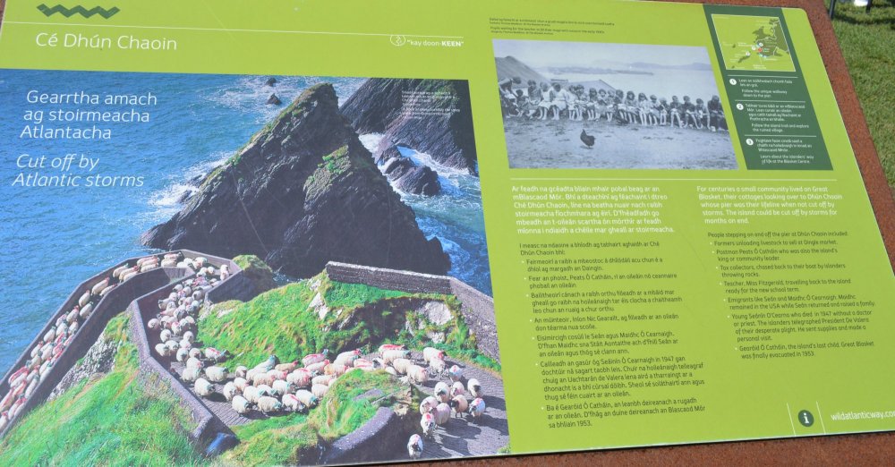On the Dunquin information board is the classic winding road down to the pier, up which are herds of sheep returning from grazing on the Blasket Islands, Dunquin village pier, Dingle Peninsula, Co. Kerry, Wild Atlantic Way, Ireland