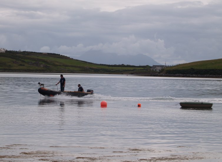 101. A forward looking dog hitching a boat ride near Kildownet/Kildavnet pier, Achill Sound, Achill Island, Co. Mayo, Ireland.