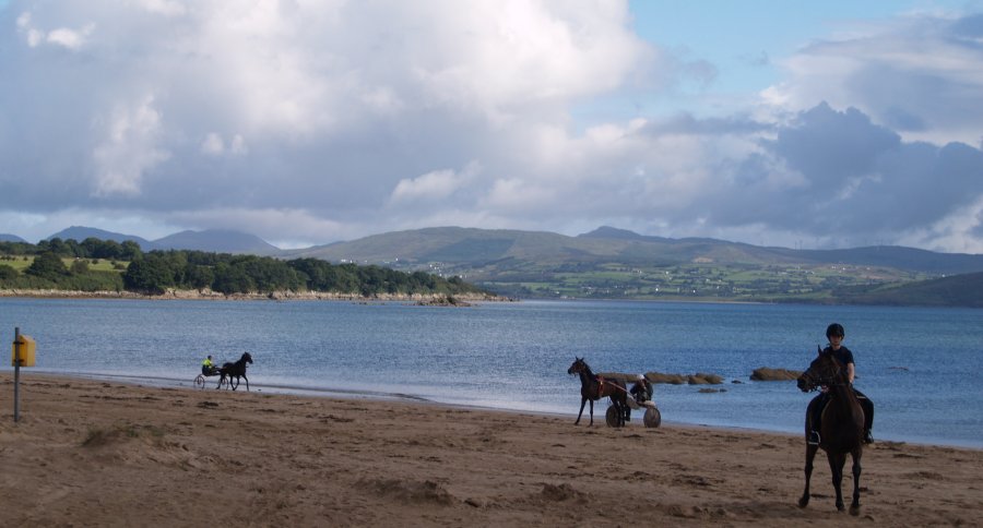 128. Horse and pony and trap riding on Rathmullan Beach (strand), Rathmullan, Fanad Peninsula, Co. Donegal, Ireland. Looking across Lough Swilly you can see the Urris Hills on the Inishowen Peninsula.