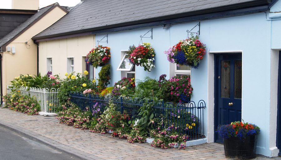 16. Splended array of flowers conveniently watered through the window, near Lismore Catholic Cathedral, Co. Waterford. Selected Scenic Views of Holidays in South-East Ireland