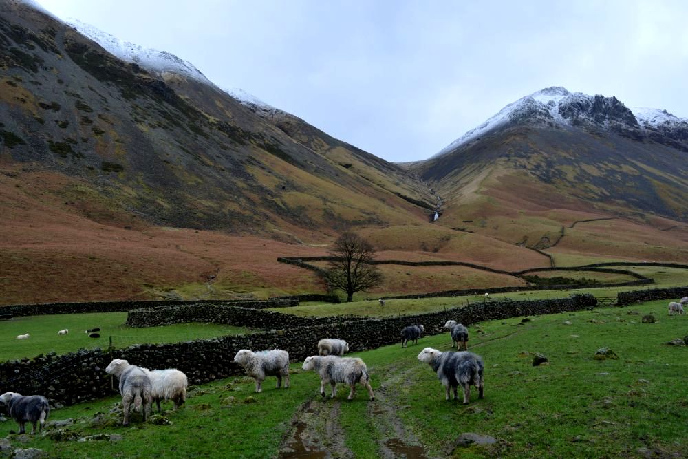 Beck Head walk from upper Wasdale Head to Sty Head Tarn stunning views