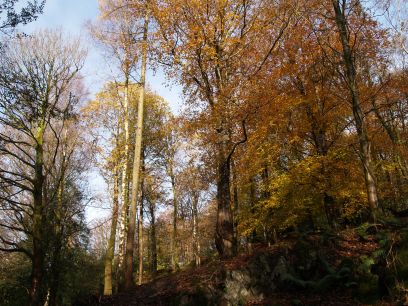 Orrest Head, Windermere