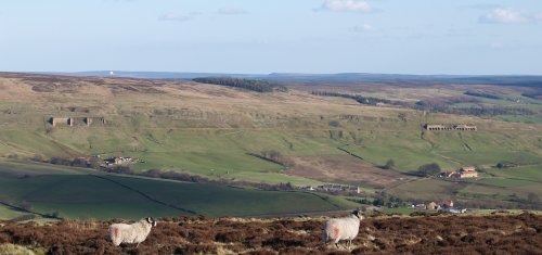 I usually set off on the western side of Rosedale to go round in an anti-clockwise direction and on the way you can see across to the iron-ore kilns