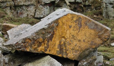 The sought after ironstone!