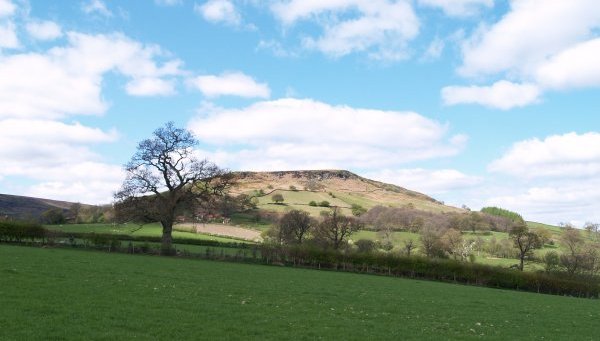 The walk starts from Low Mill (OS grid ref 673952) and after passing through the farmland of the west of Farndale you ascend close to West Gill.