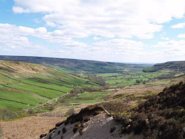 Looking back south down Farndale from just below the Rudland Rigg track.