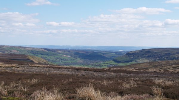 Looking back south down Farndale from the track heading east for Monket House.