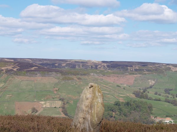 Looking across to High Blakey Moor, just above the stone on the horizon is the Lion Inn on Blakey Ridge.