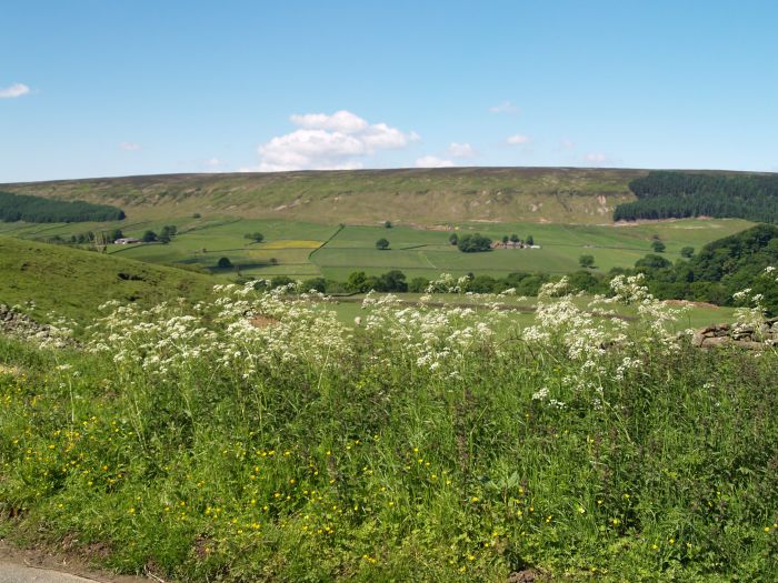 Bransdale