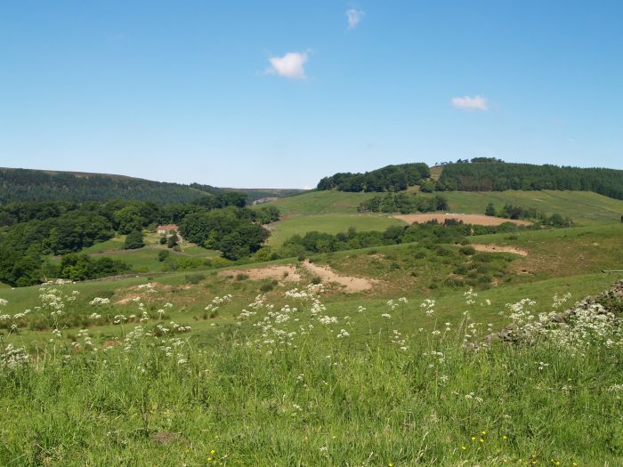 Bransdale