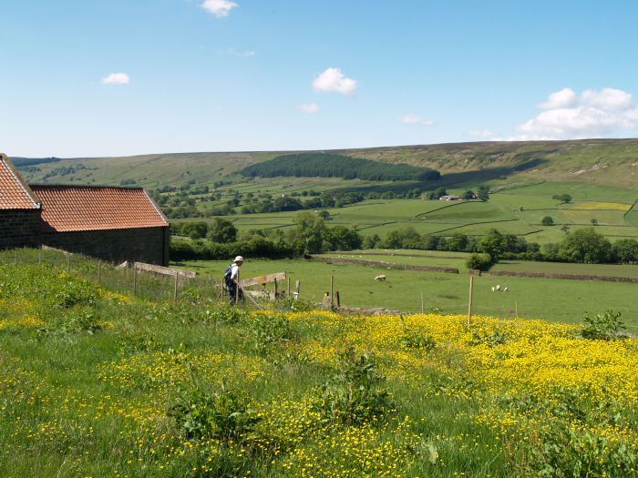 Bransdale