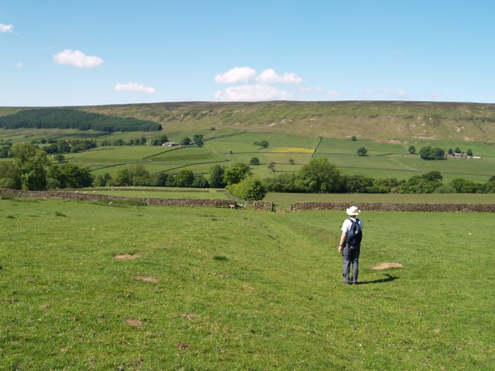 Bransdale
