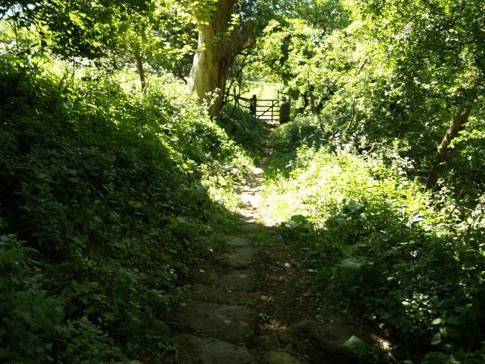 Bransdale