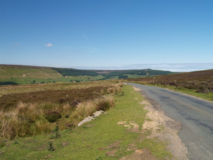 Bransdale