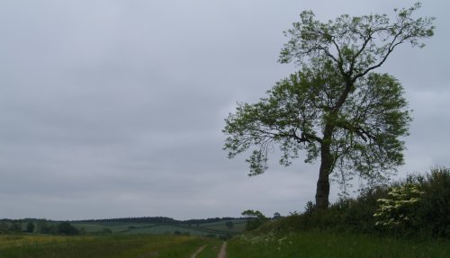 The gently rolling Howardian Hills