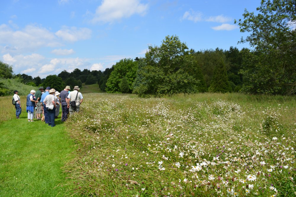 Spring in the Yorkshire Arboretum