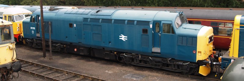 Barrow Hill Roundhouse: Blue liveried Co-Co English Electric Class 37 37275 (37 275, D6975, D 6975) called STAINLESS PIONEER built at the Vulcan foundry in 1965.