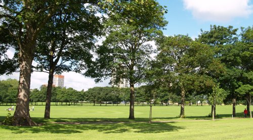 The 'green' and open Victoria Park with the buildings of Leicester University in the background.