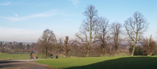 Wollaton Hall Park - City of Nottingham, England, English Midlands