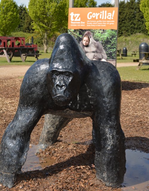  Twycross Zoo, Leicestershire, England