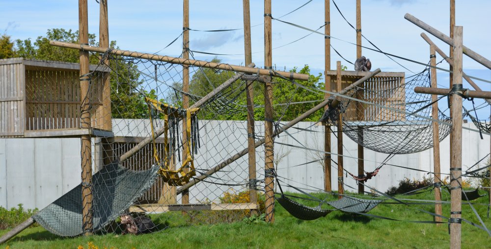  Twycross Zoo, Leicestershire, England