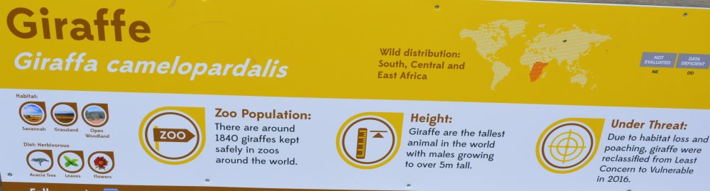  Twycross Zoo, Leicestershire, England