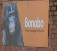  Twycross Zoo, Leicestershire, England