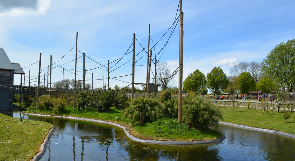 gibbon forest enclosure at  Twycross Zoo, Leicestershire, England