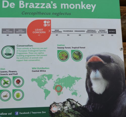  Twycross Zoo, Leicestershire, England