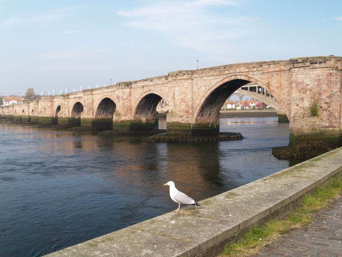 Berwick River Tweed Bridges