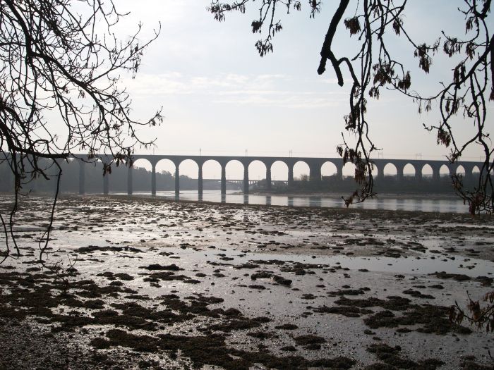Berwick River Tweed Walk