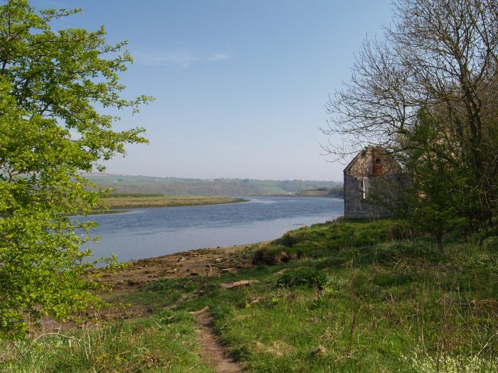 Berwick River Tweed Walk
