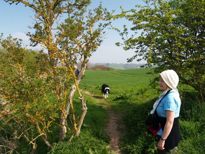 Berwick River Tweed Walk