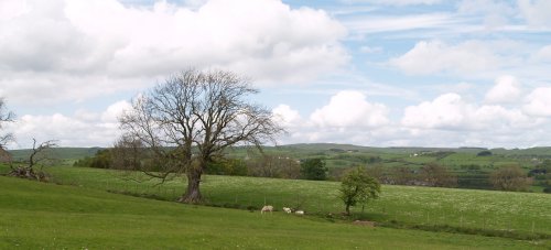 There are several directions to walk from the village of Beltingham. In our case we headed west.