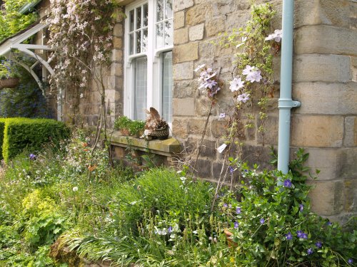 Many of the cottages of Beltingham, and their gardens, are adorned with many pretty flowers.