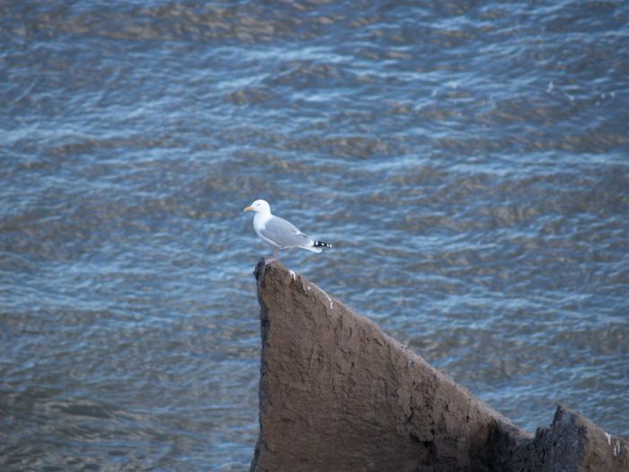 Seaham